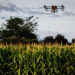 Senar Play bate recorde de matrículas e acessos em Minas Gerais 