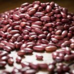 Produção de feijão cresce em Minas e sustenta liderança no Sudeste 