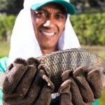Piscicultura mineira preparada para a Semana Santa 